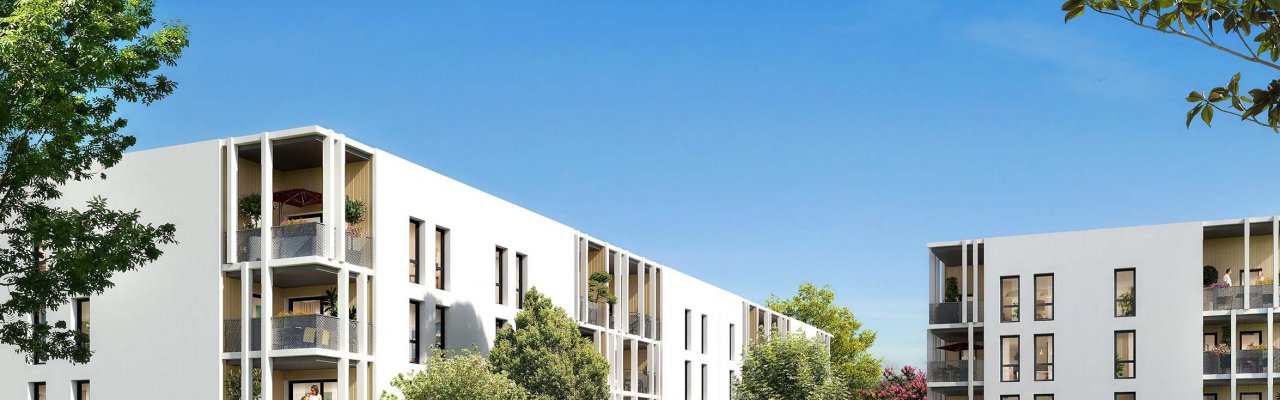programme immobilier