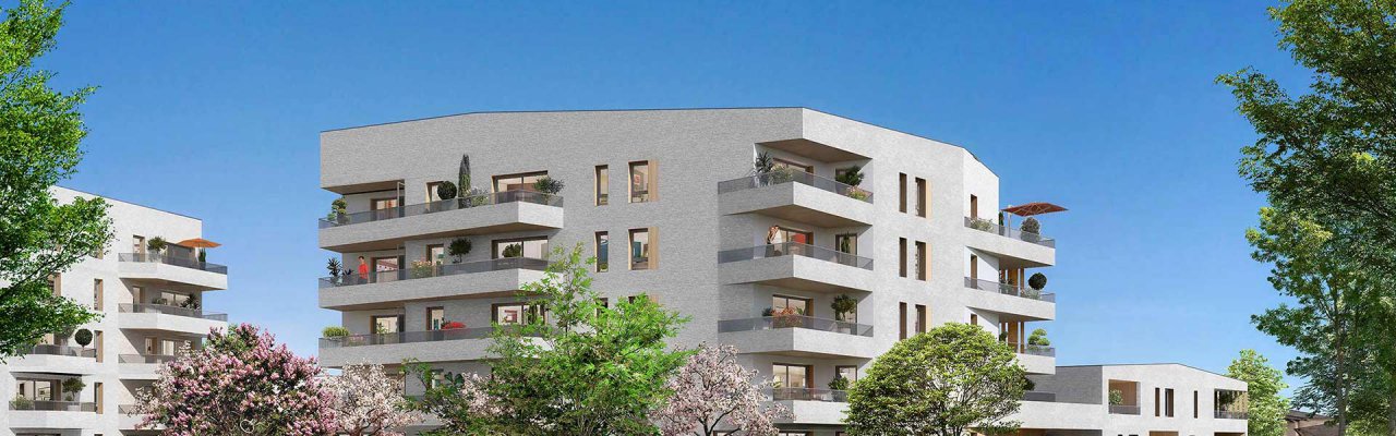 programme immobilier