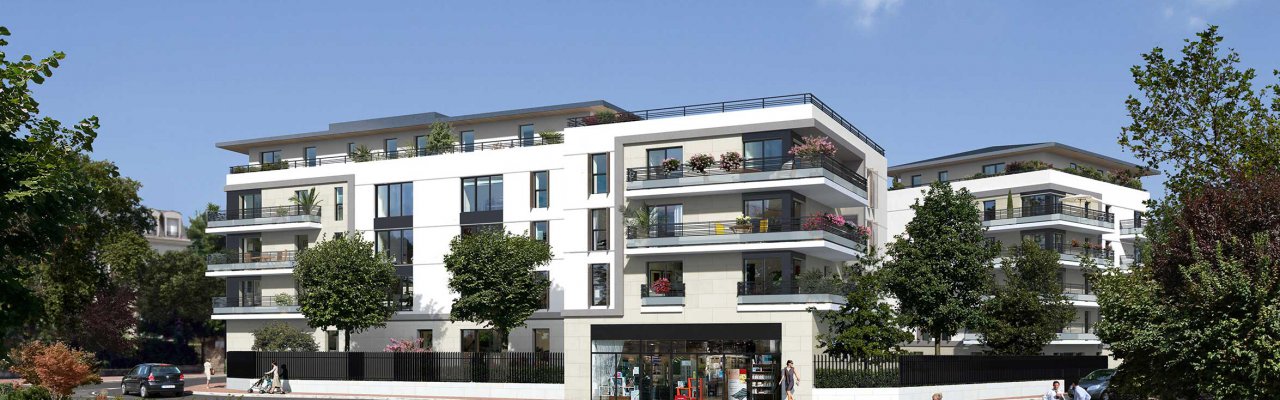 programme immobilier