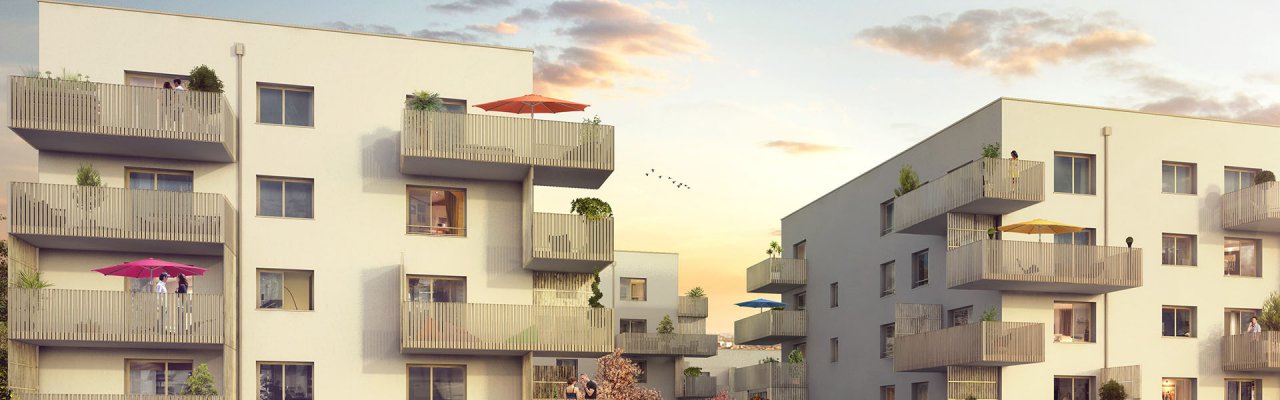 programme immobilier
